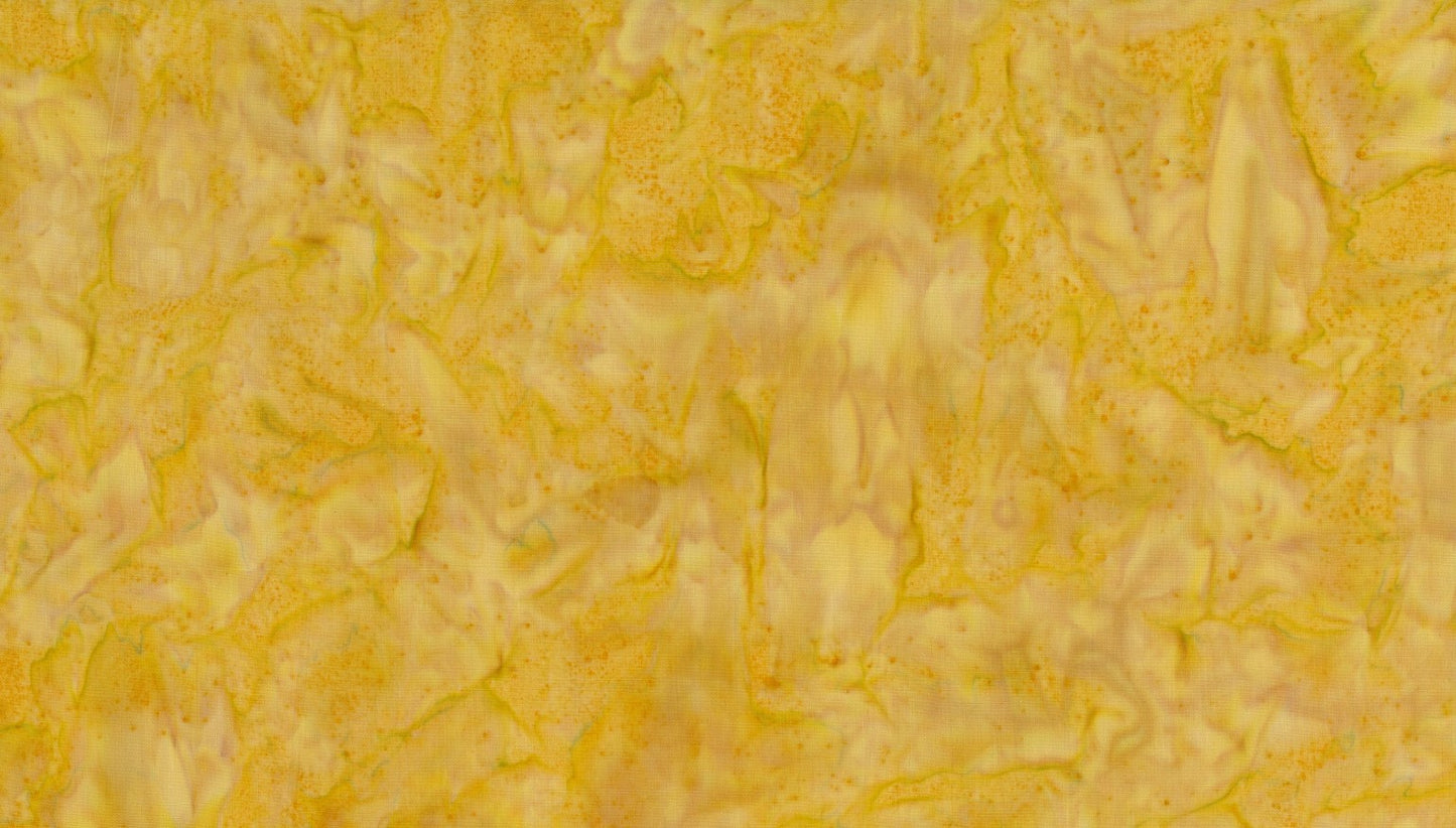 Maize - Alternative* to RY
